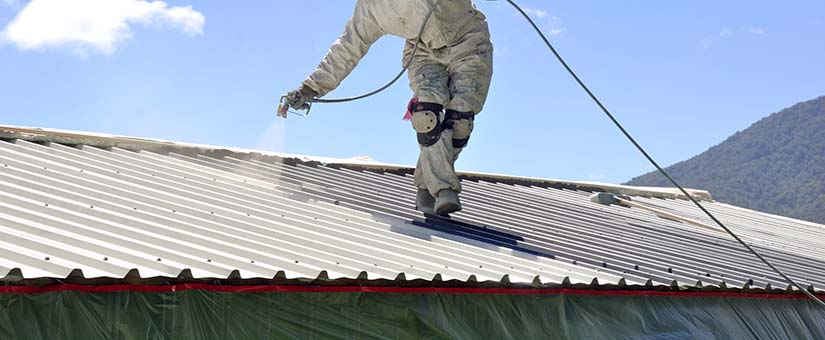 Best Tips And Tricks For Roof Painting By Professionals